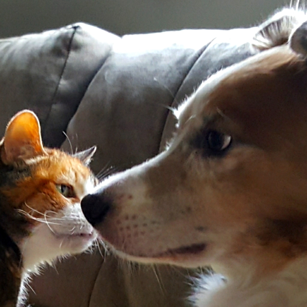 Meet your Posher, Suzanne